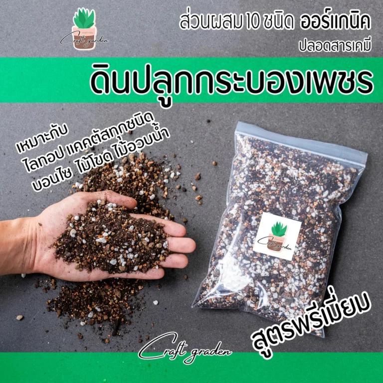 ดินปลูกกระบองเพชร